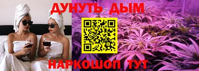 Альфа ПВП Новодвинск