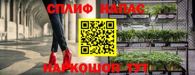 Альфа ПВП Новодвинск