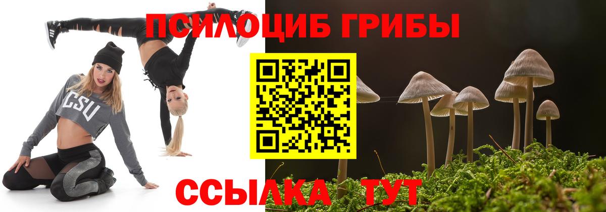 Тверь  Галлюциногенные грибы Magic Shrooms  купить наркотики цена  Вход с VPN 