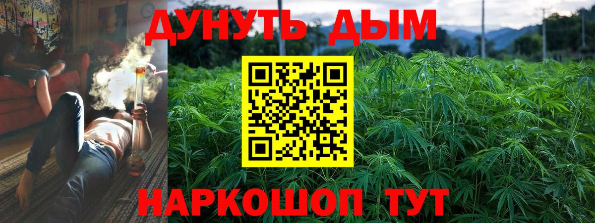 Шишки марихуана план Тверь